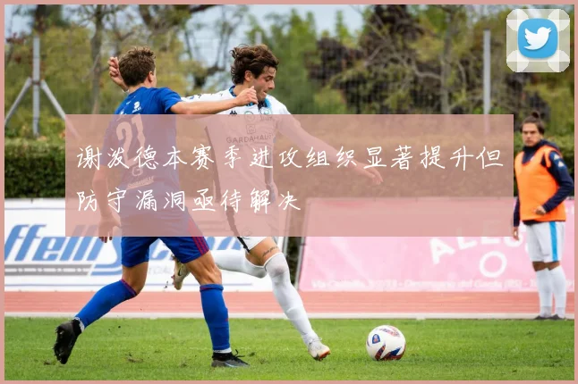 谢泼德本赛季进攻组织显著提升但防守漏洞亟待解决